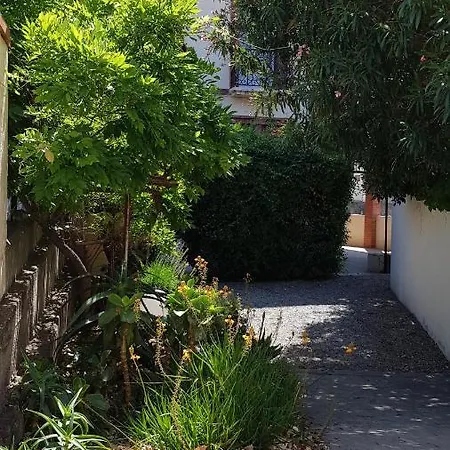 Apartment 300 M Et Port Banyuls-sur-Mer