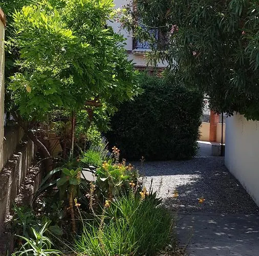 Apartamento 300 M Et Port Banyuls-sur-Mer